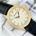 Audemars Piguet watch 170115 (2)_3971635