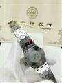 Audemars Piguet watch 170915 (21)_3971391