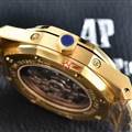 Audemars Piguet watch 190526 (14)_3970313