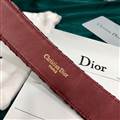 Dior belt original edition 70-100cm-A9 (23)_4408954