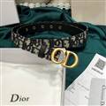 Dior belt original edition 70-100cm-A9 (46)_4407415