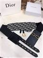 Dior belt original edition 70-100cm-A9 (8)_4409709