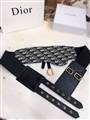 Dior belt original edition 70-100cm-A9 (8)_4409709