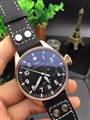 IWC watch man Apr 27--wsp17_2948884