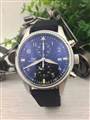 IWC watch man Apr 27--wsp31_2948870